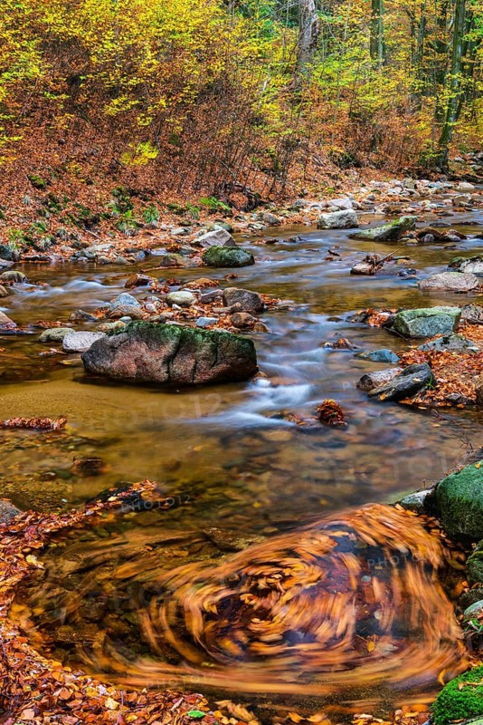 Autumnal Ilse Valley in the Harz Mountains