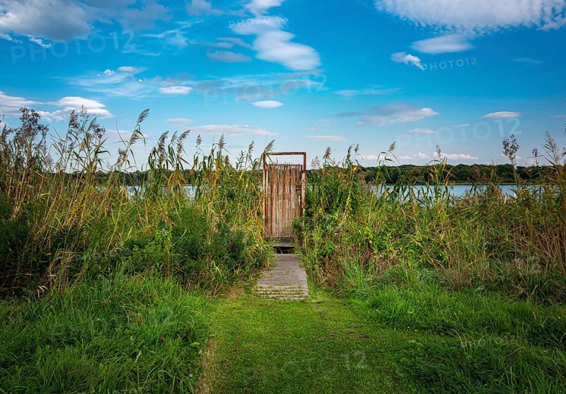 Door in the reeds on the Tegeler Fliess in Luebars