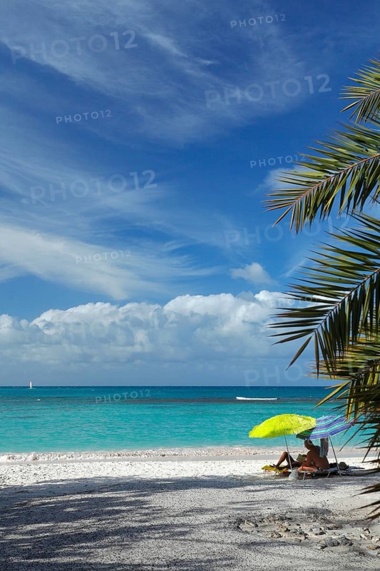 Pineapple Beach