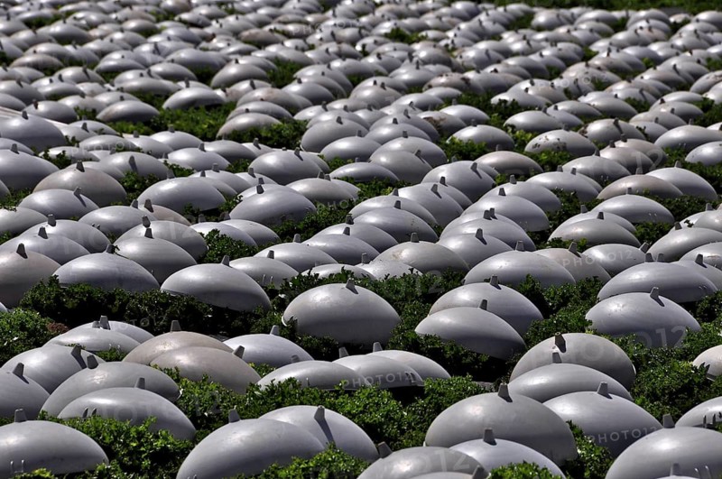Salad covered with plastic caps