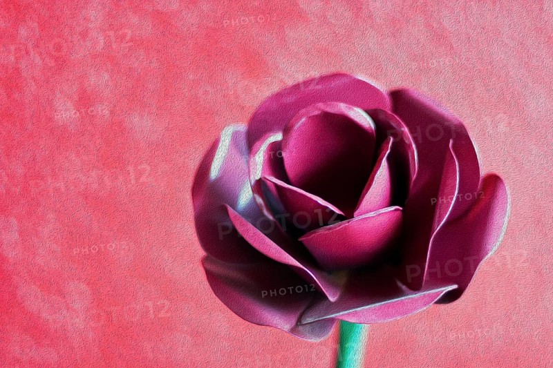 Plastic rose in front of red wall