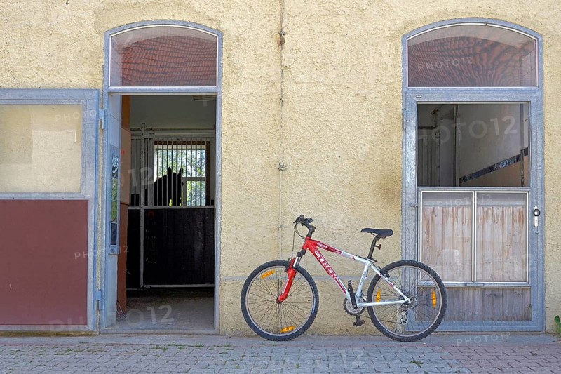 Bicycle leaning against wall in front of horse stable