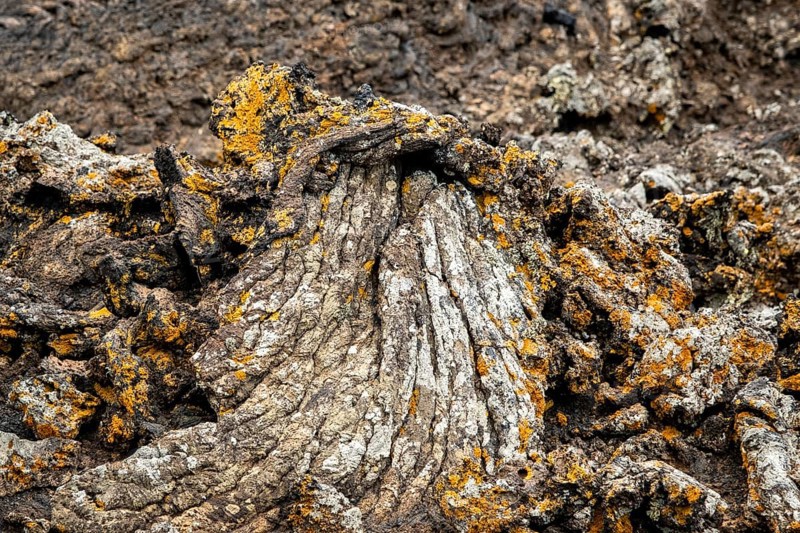 Pahoehoe lava