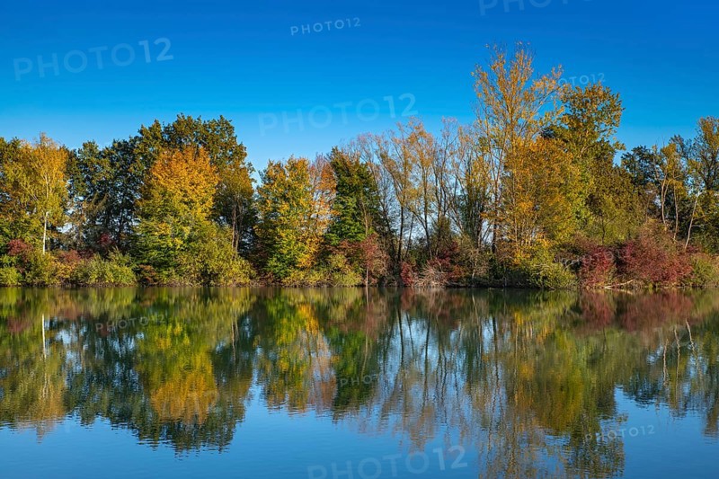 Fish pond on the river Lafnitz in autumn