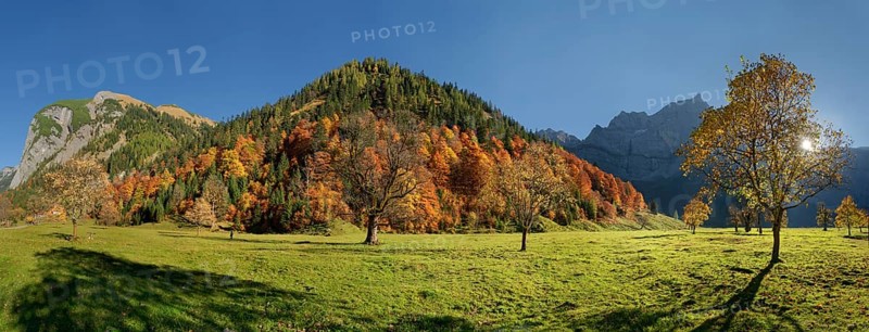 Grosser Ahornboden Panorama with autumnal colourful maple trees in low sun below the Spritzkar and Baerenkopf Karwendel peaks