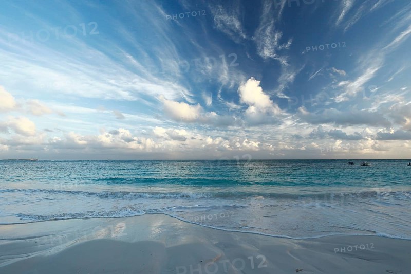 Pineapple Beach