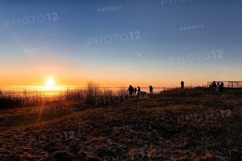 Visitors