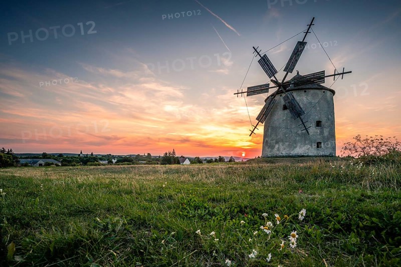 The Old Windmill of Tes at sunset with marguerites
