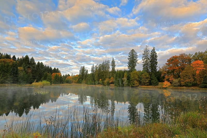 Ablacher Weiher