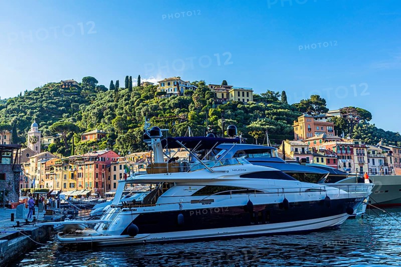 Luxury yachts anchored in Portofino harbour
