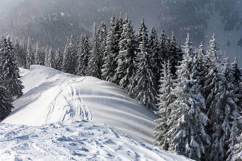 Snow-covered mountain landscape with trees in winter during snowfall