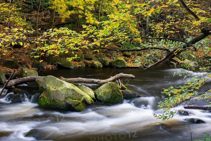River Bode in the autumnal Harz Mountains
