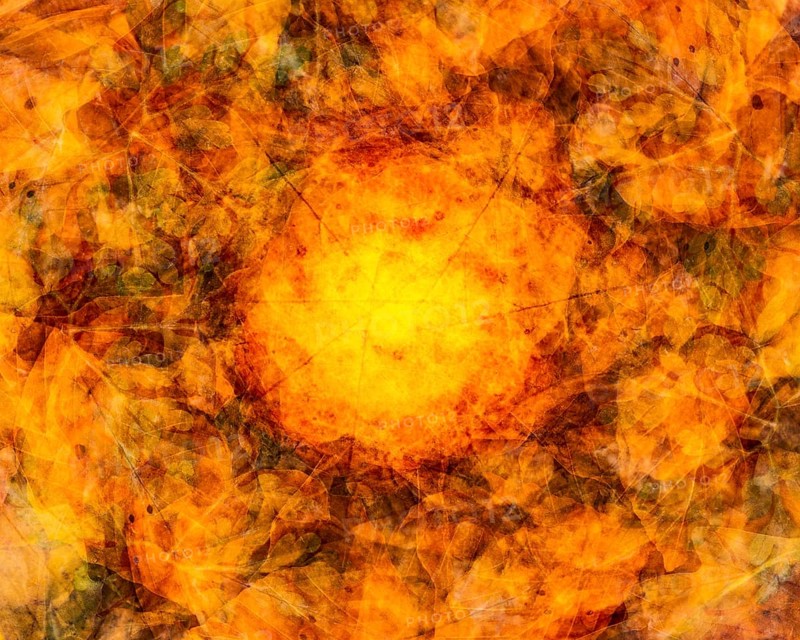 Autumn mosaic