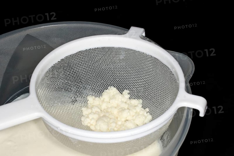 Kefir tubers lie in a plastic sieve after the kefir has been sieved