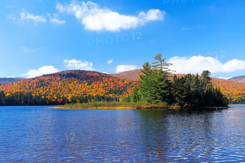 Autumn colours