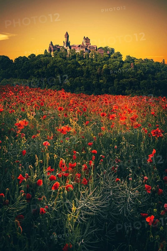 Braunfels Castle