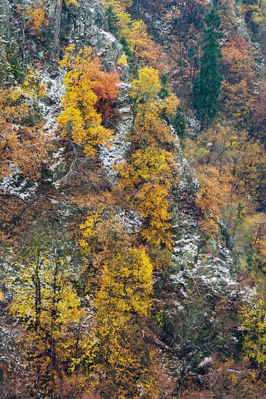 First snow on the autumnal slopes of the Bode Valley in the Harz Mountains