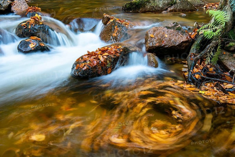 Autumnal Ilse Valley in the Harz Mountains