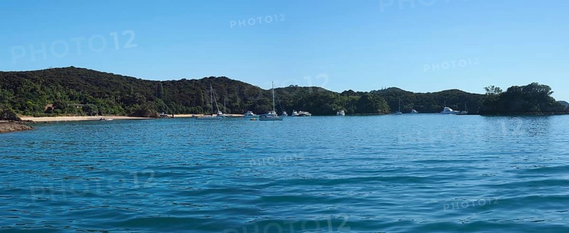 Boats anchored in the Bay of Islands