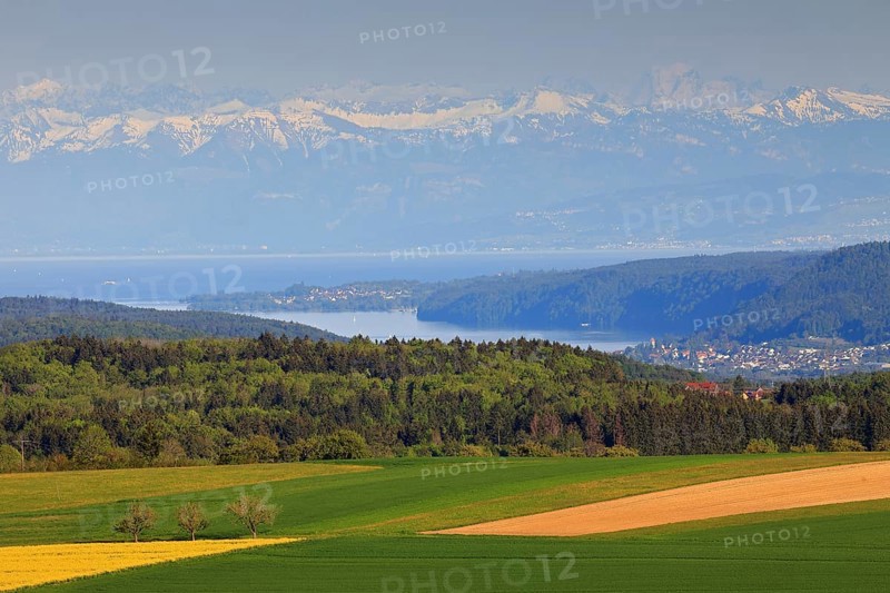 View of the Alps from Witthoh