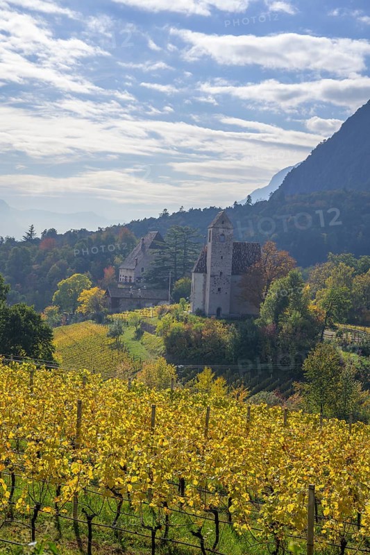 Autumn vineyards and chapel at Englar Castle