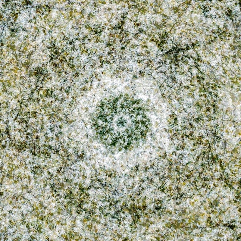 Autumn mosaic