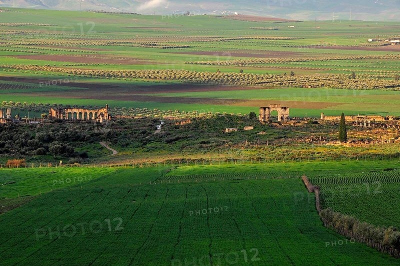 Roman ancient ruins Volubilis surrounded by green fields
