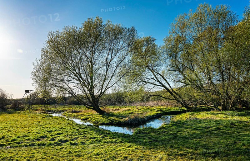 Landscape at the Tegeler Fliess in Luebars
