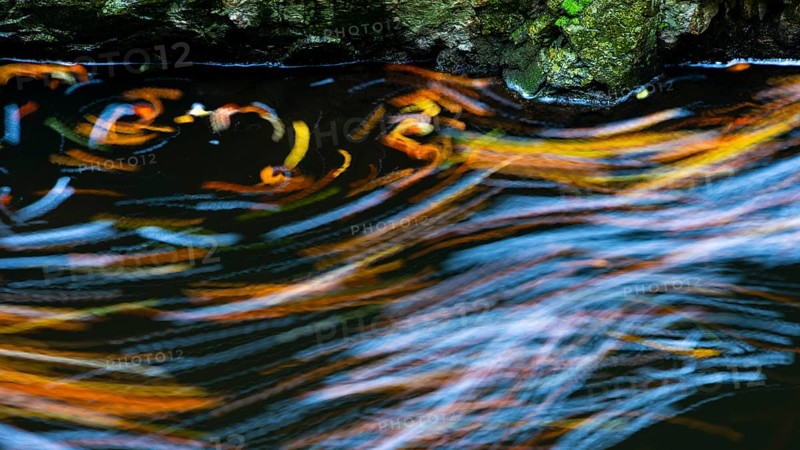 Leaves in the river Bode in the autumnal Harz