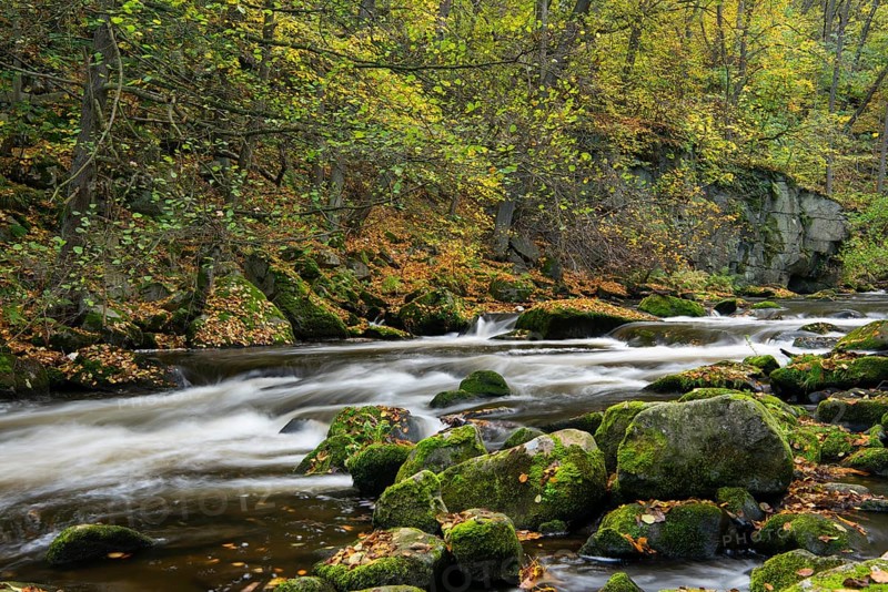 River Bode in the autumnal Harz Mountains