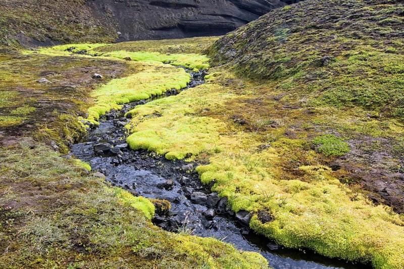 Small stream flowing through lava field covered with