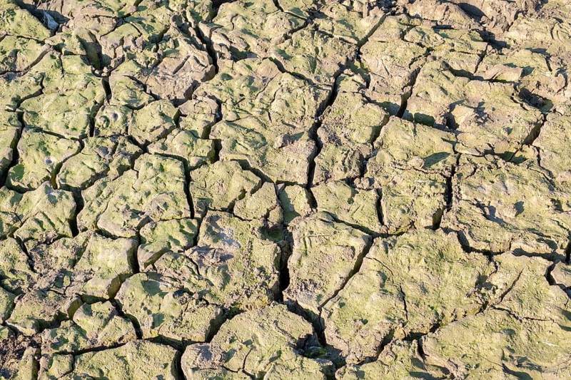 Dry river bed
