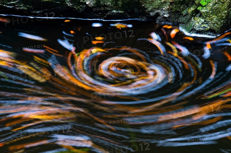 Leaves in the river Bode in the autumnal Harz