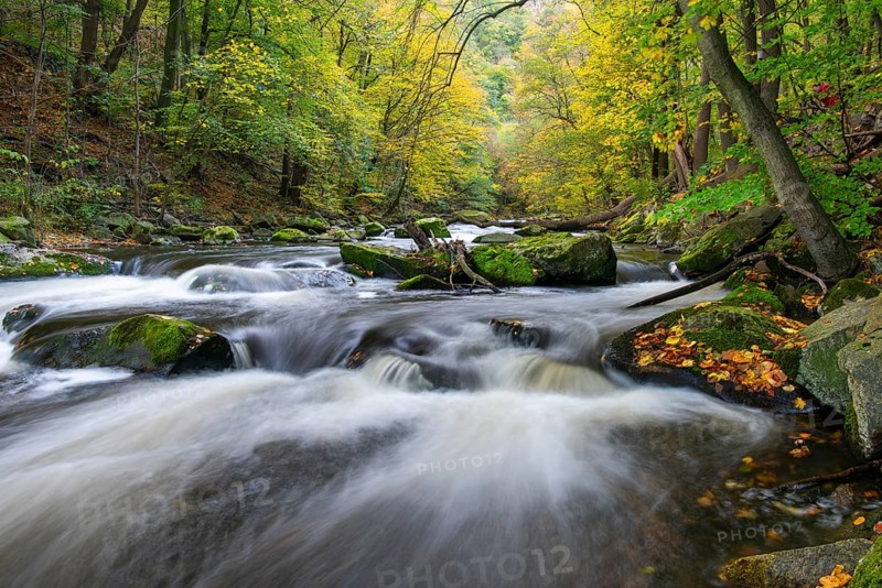 River Bode in the autumnal Harz Mountains