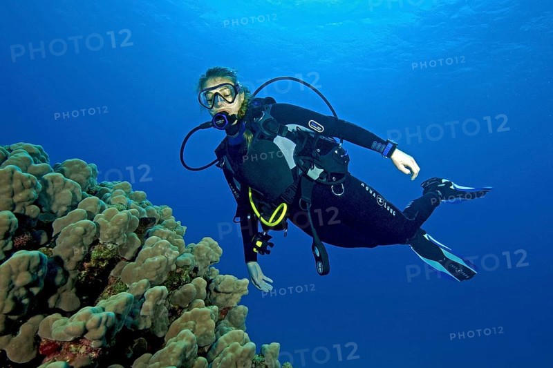 Young female scuba diver looking up swimming over dome coral