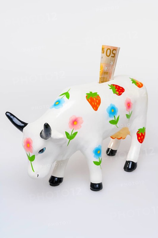Porcelain money box