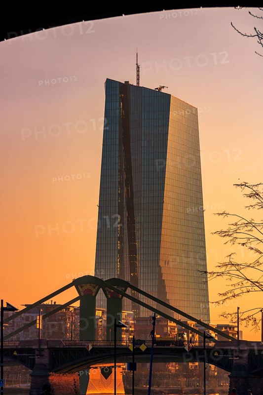 The European Central Bank