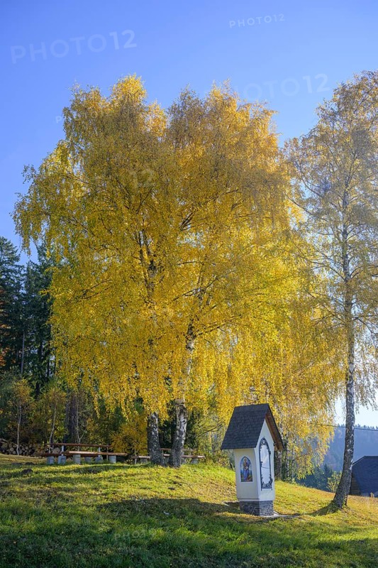 Wayside shrine at the Magdalensberg Filial Church