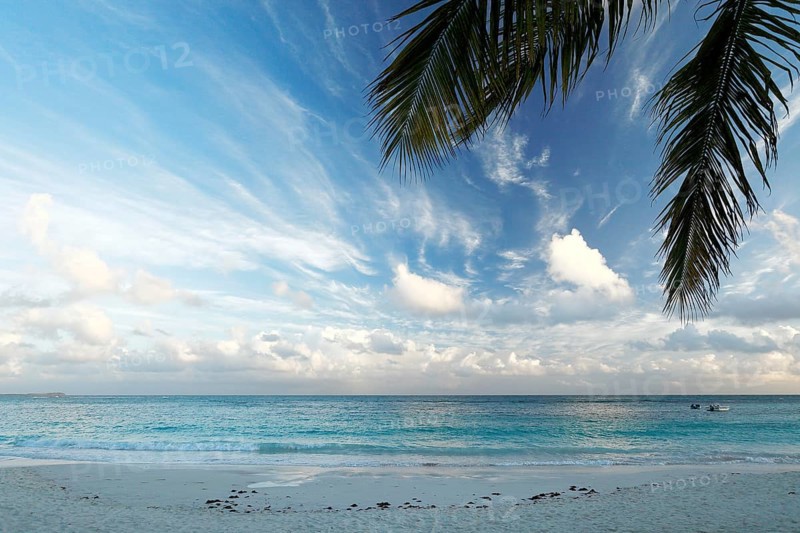 Pineapple Beach