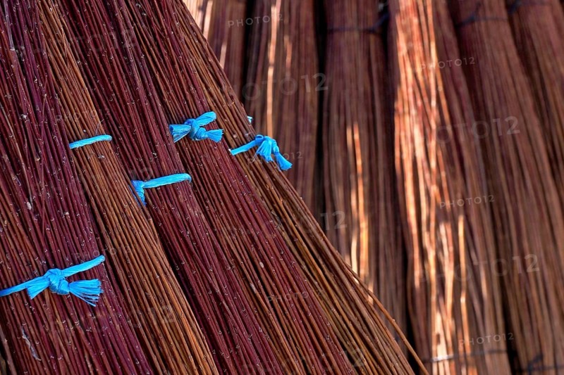 Bundles of brushwood tied with blue ribbon