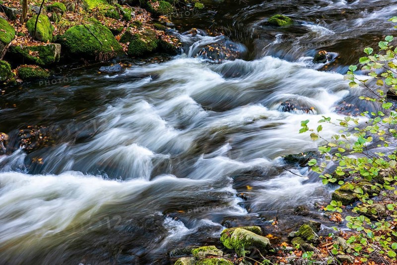 River Bode in the autumnal Harz Mountains