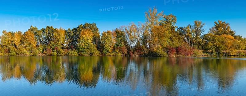 Fish pond on the river Lafnitz in autumn