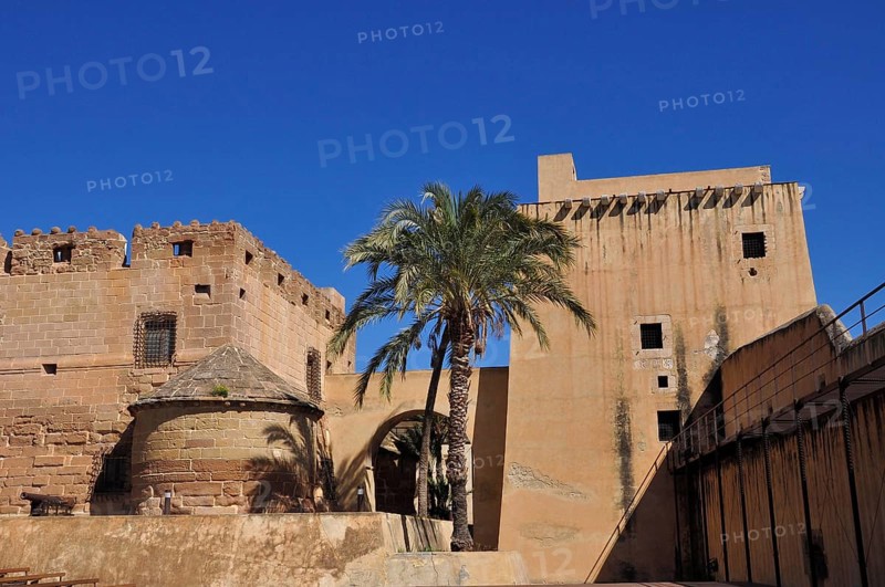 Courtyard of the Marques de los Velez Castle with palm tree