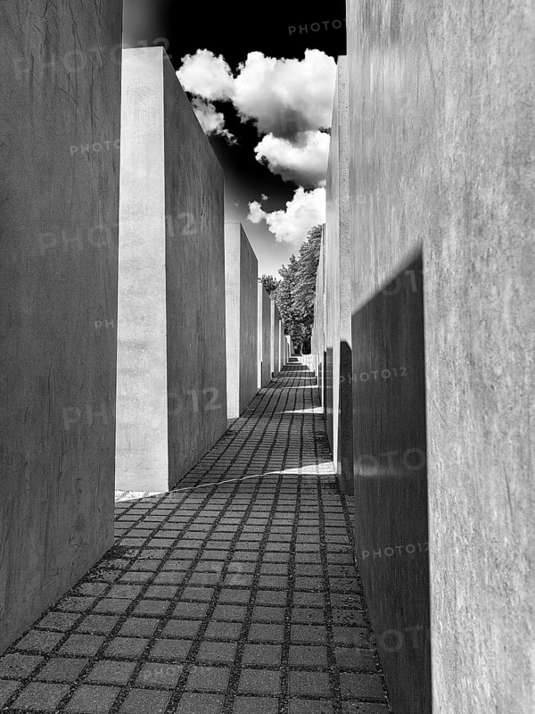 Narrow paved path through cuboid concrete stelae
