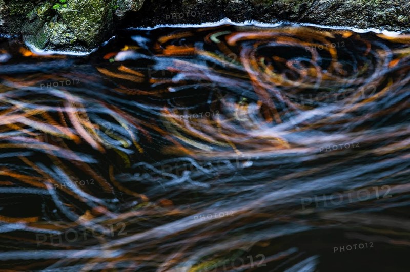 Leaves in the river Bode in the autumnal Harz