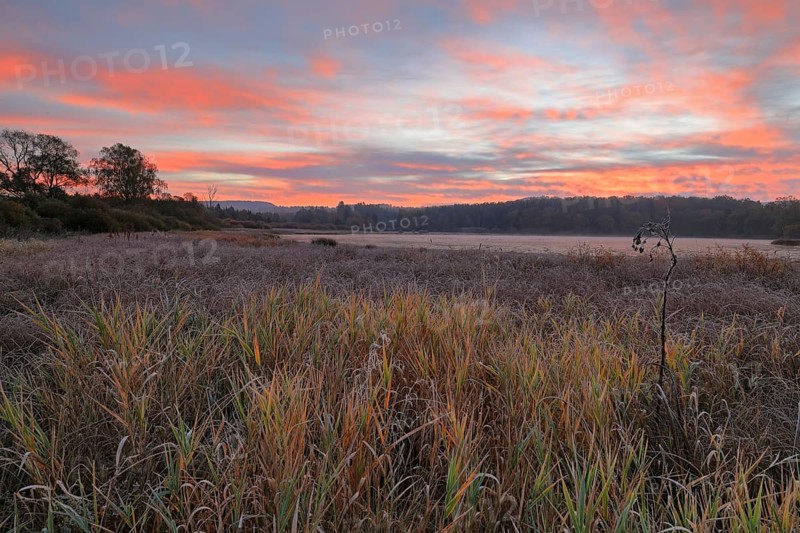 Dawn over the Unterhoelzer Weiher