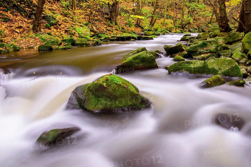 River Bode in the autumnal Harz Mountains