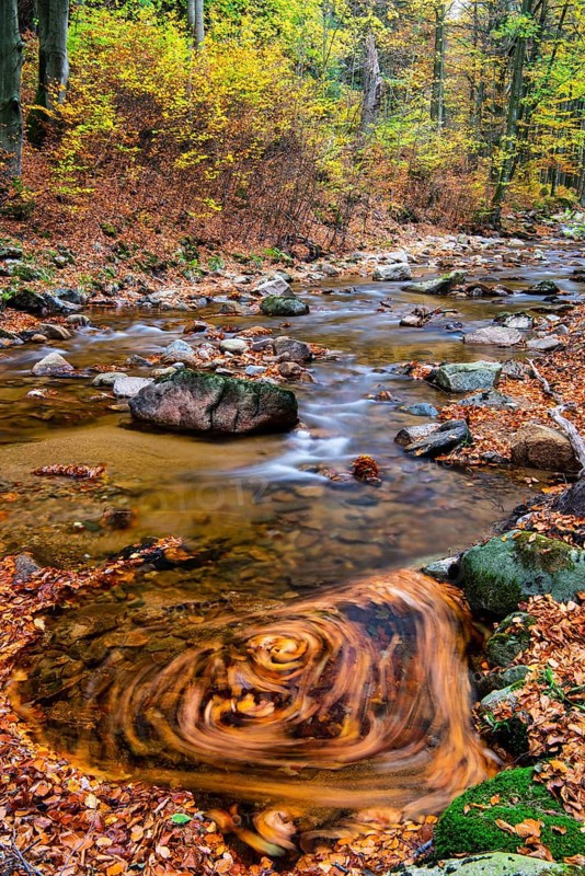 Autumnal Ilse Valley in the Harz Mountains