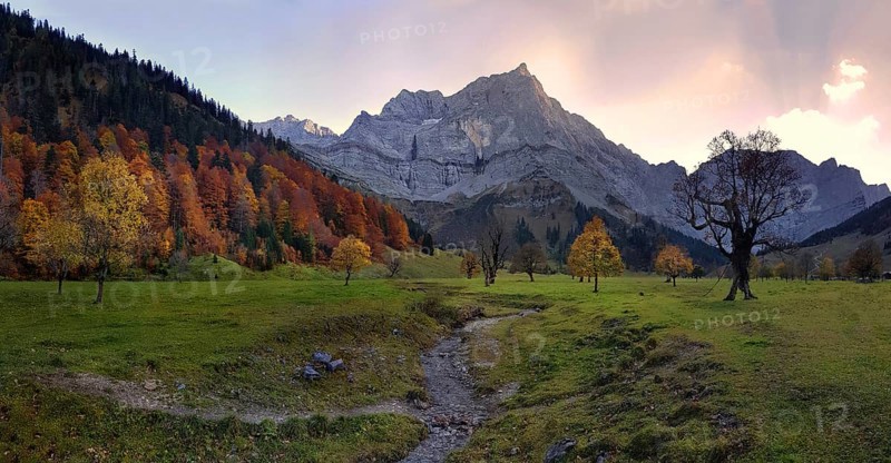 Big maple ground with autumnal colourful maple trees at sunset with the riverbed of the Enger Tal stream