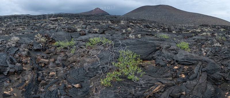 Typical volcanic landscape near La Restinga
